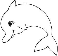 Dolphin
