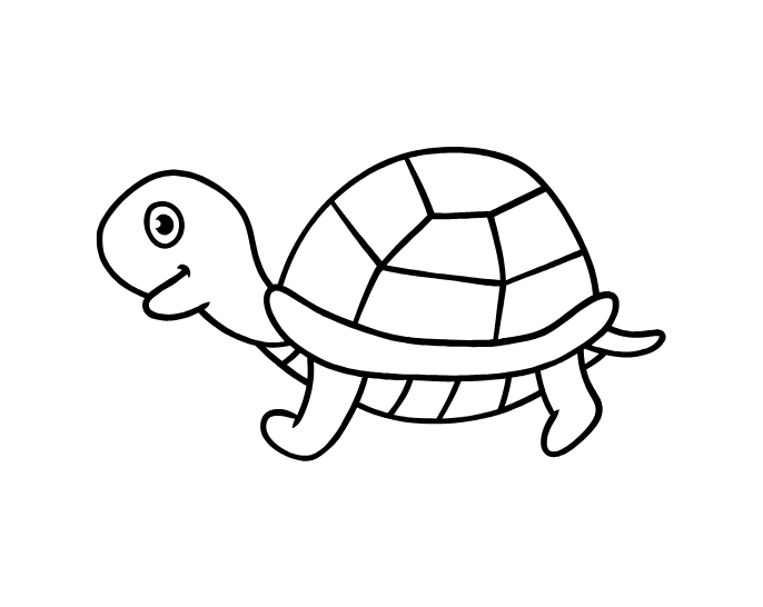 Friendly Turtle drawing