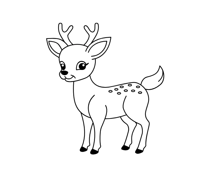 Deer drawing