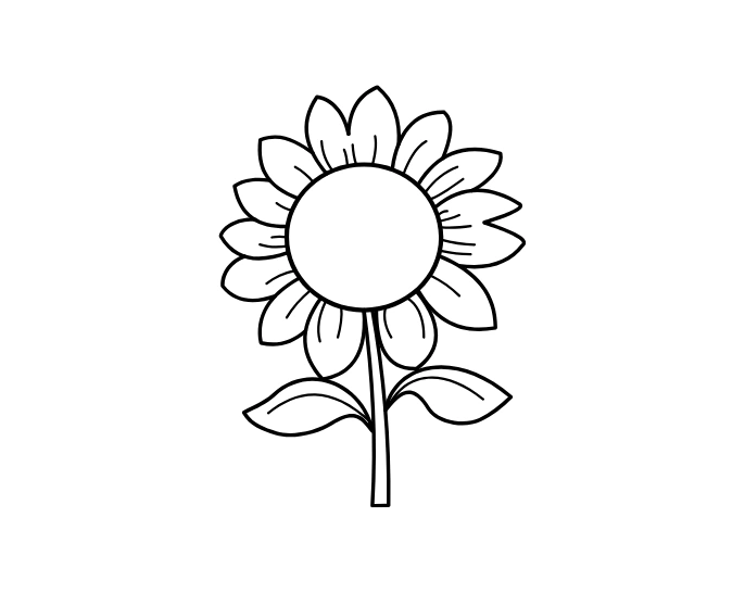 Sunflower drawing