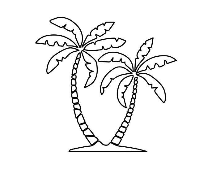 Palm Tree drawing