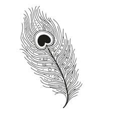 Peacock Feathers