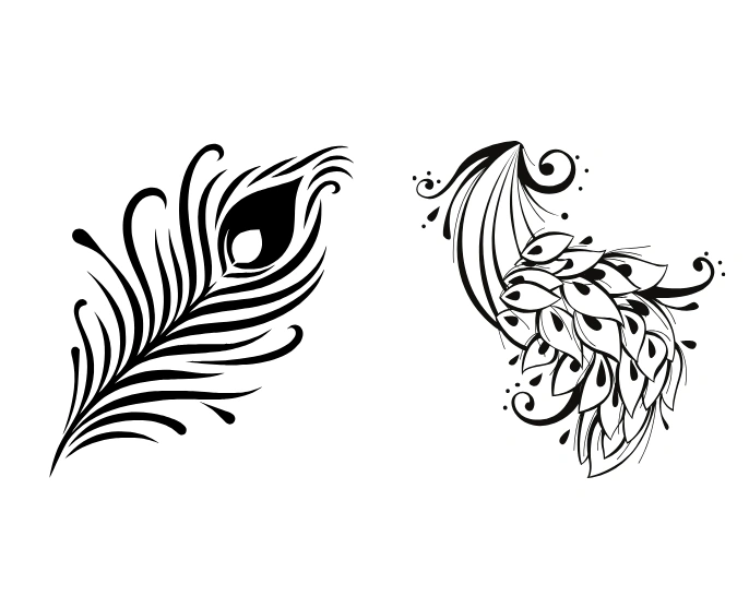 Peacock Feathers easy drawing