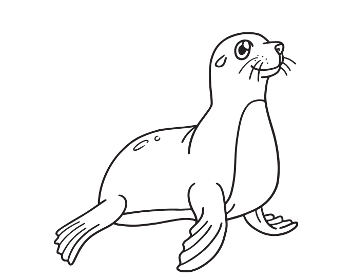 Seal drawing
