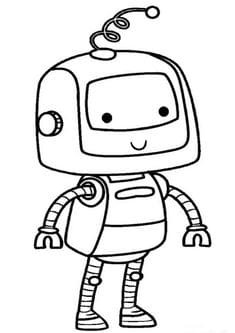 Robot
