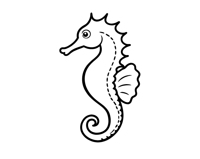 Seahorse drawing