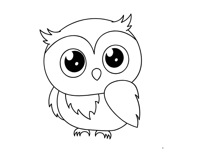 Owl drawing