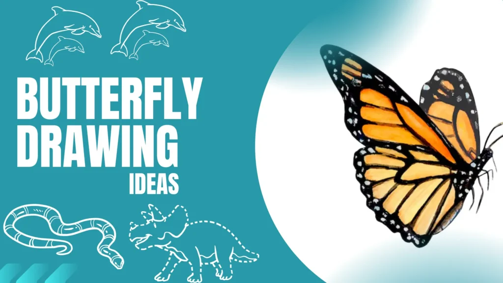 Butterfly Drawing Ideas