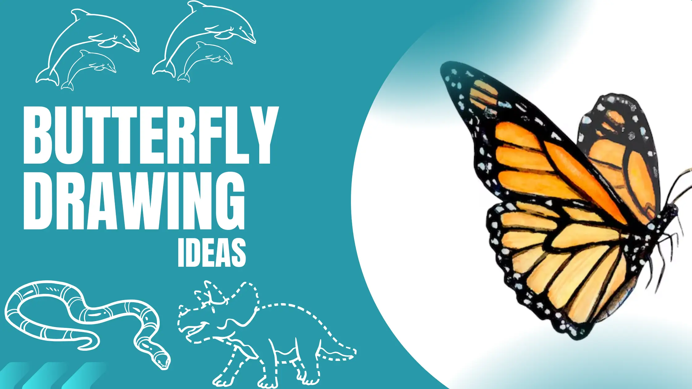 Butterfly Drawing Ideas