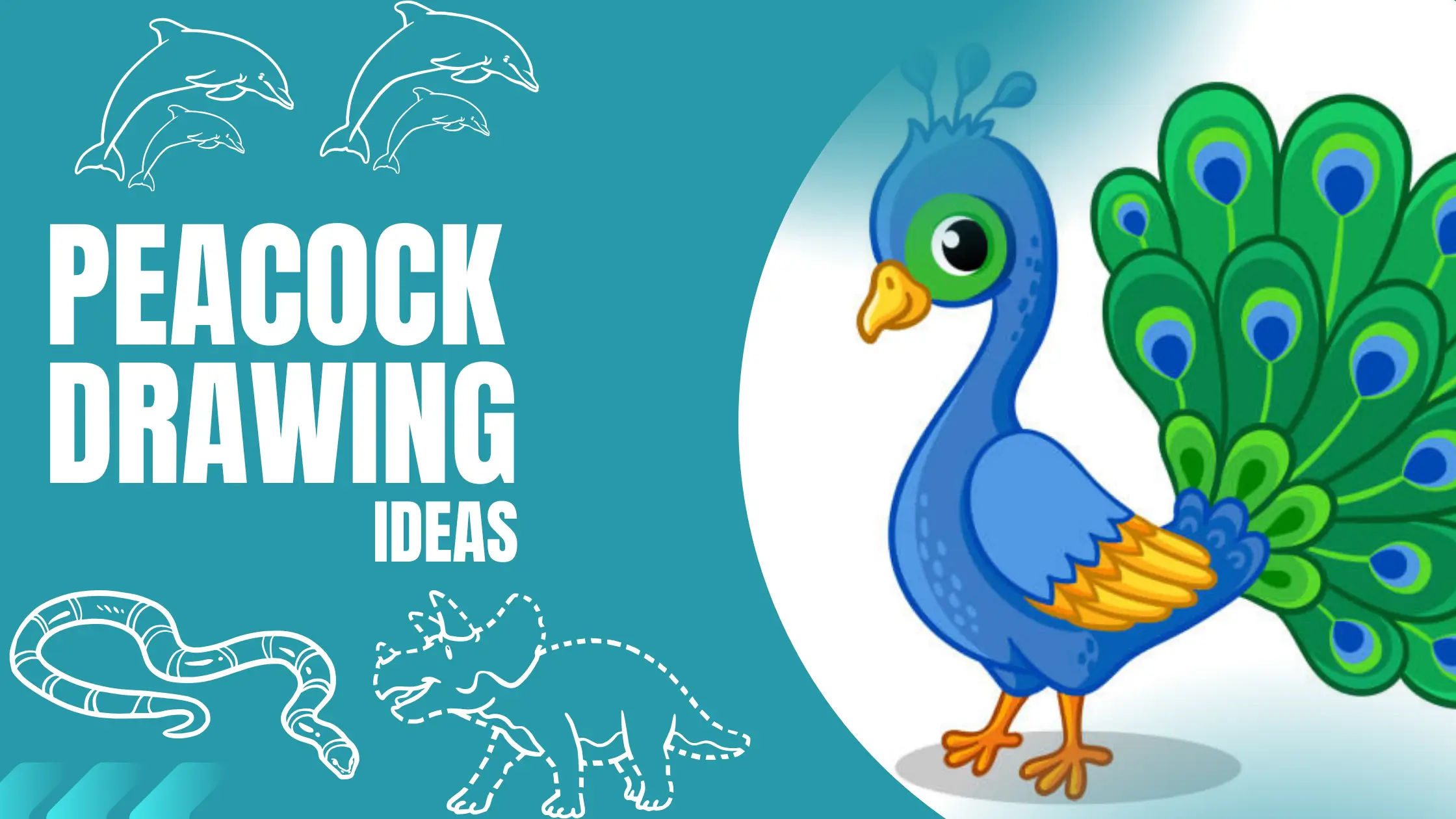 15+ Easy Artful Peacock Drawing Ideas