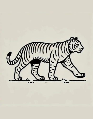 Tiger Walking Drawing