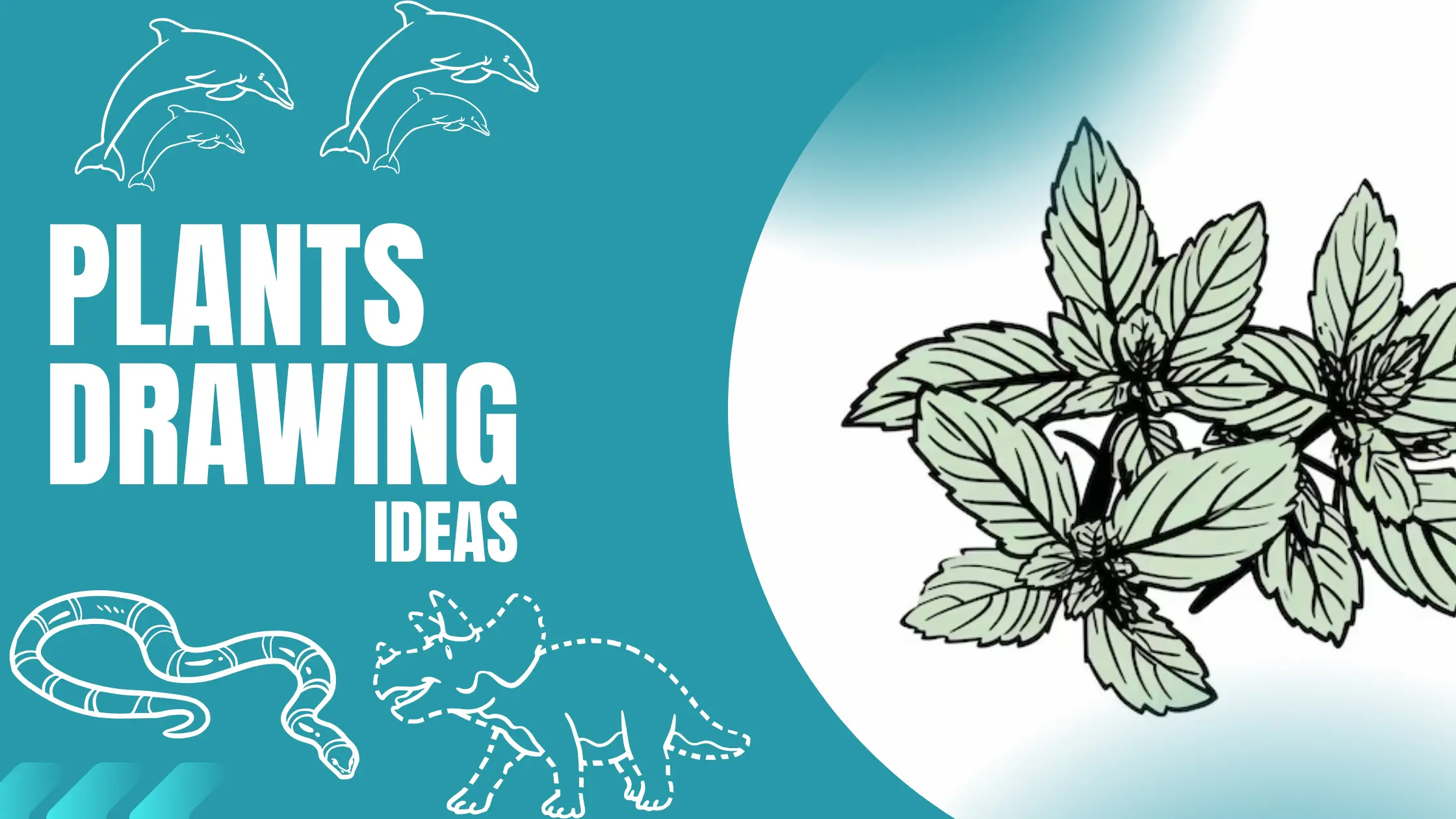 Plants Drawing Ideas