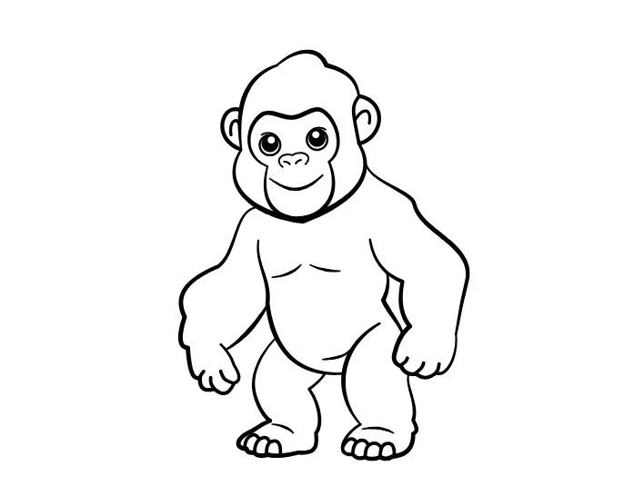 cute gorilla 