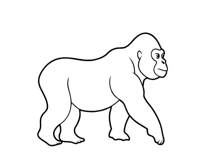 walking gorilla