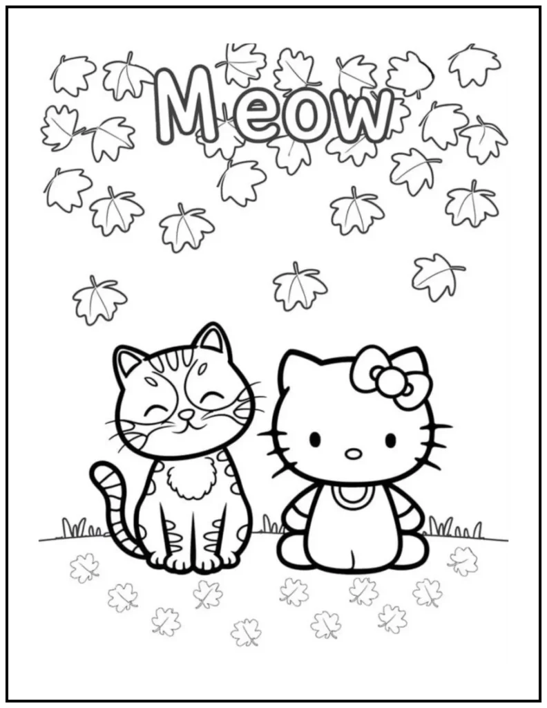 Hello Kitty and her cute companion