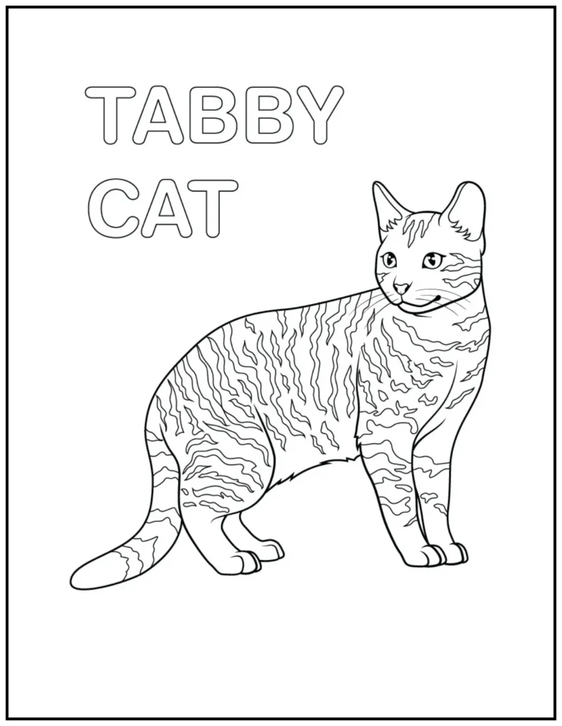 tabby cat coloring page