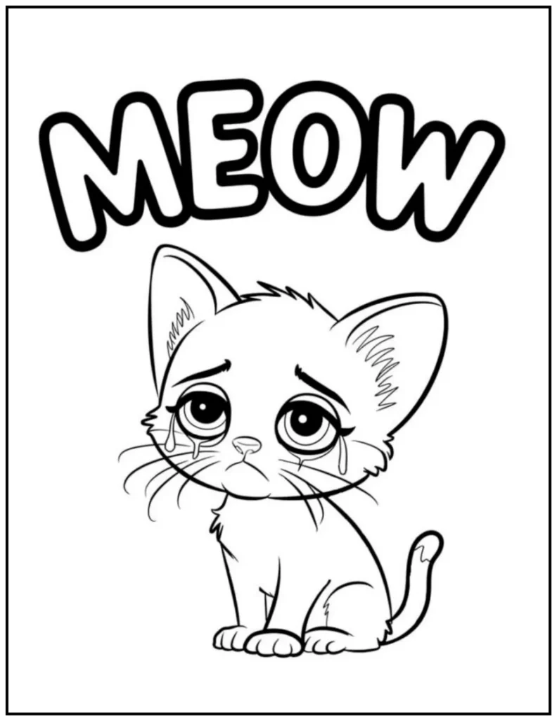 Kitten looks so sad